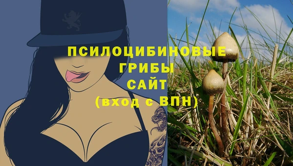 кристаллы Дмитров