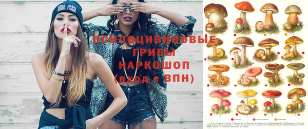 не бодяженный Дмитриев