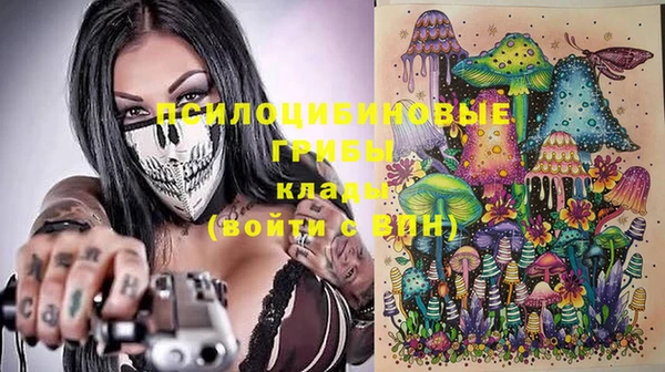 не бодяженный Дмитриев